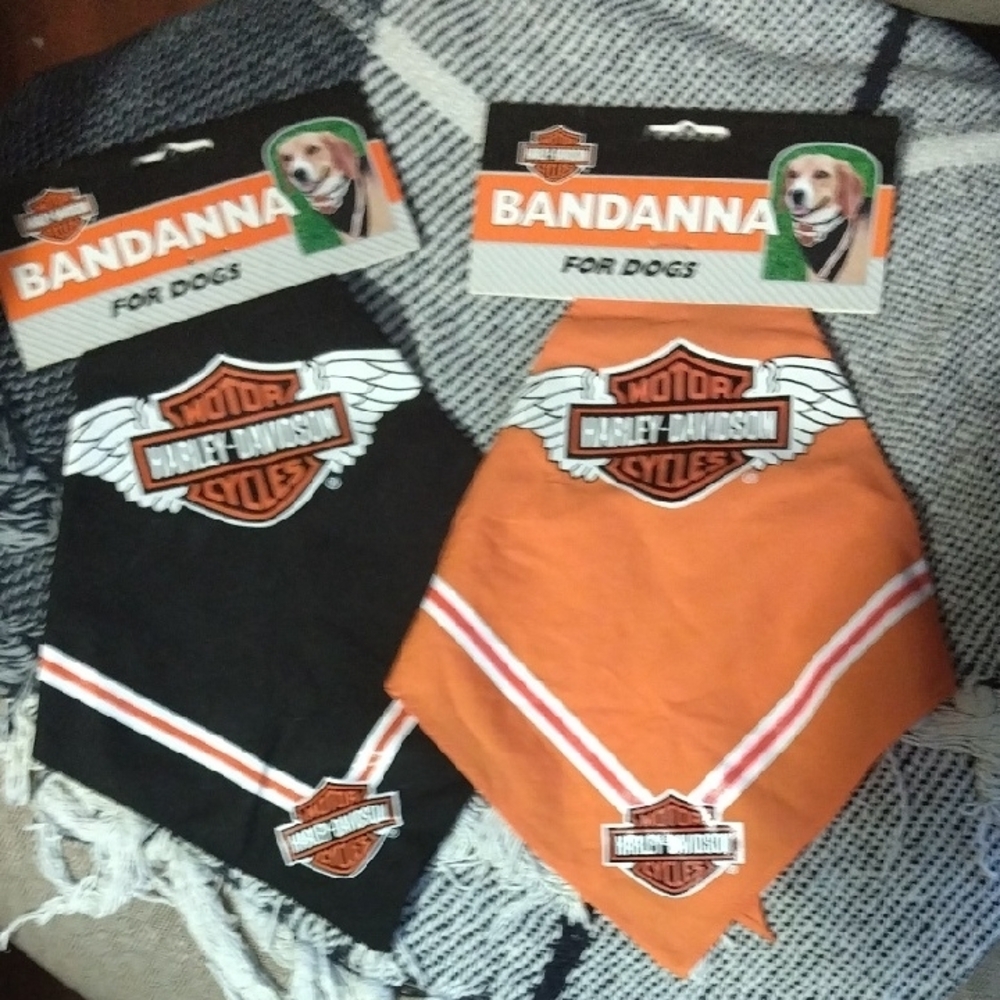 🌲Harley-Davidson Black and Orange Dog Bandannas